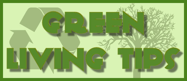 Tips to Live Green in Your Apartment