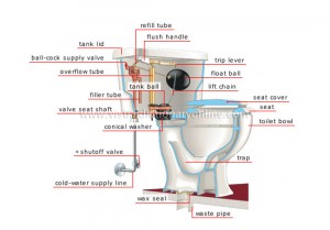 Toilet Diagram