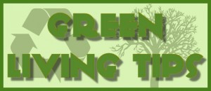 Apartment Green Living Tips