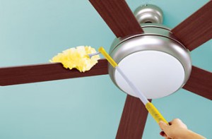 Ceiling Fan Cleaning