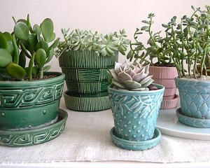 Indoor Garden Tips
