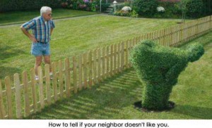Bad Neighbors