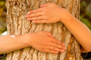 Save a Tree - Recycle!