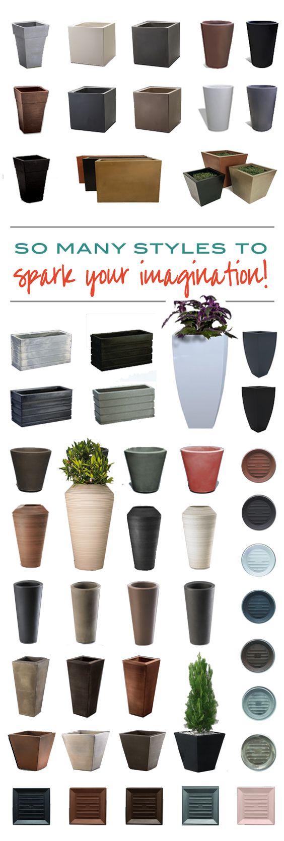Plant Pots to Choose From
