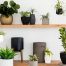 What Are The Benefits Of Indoor Plants?